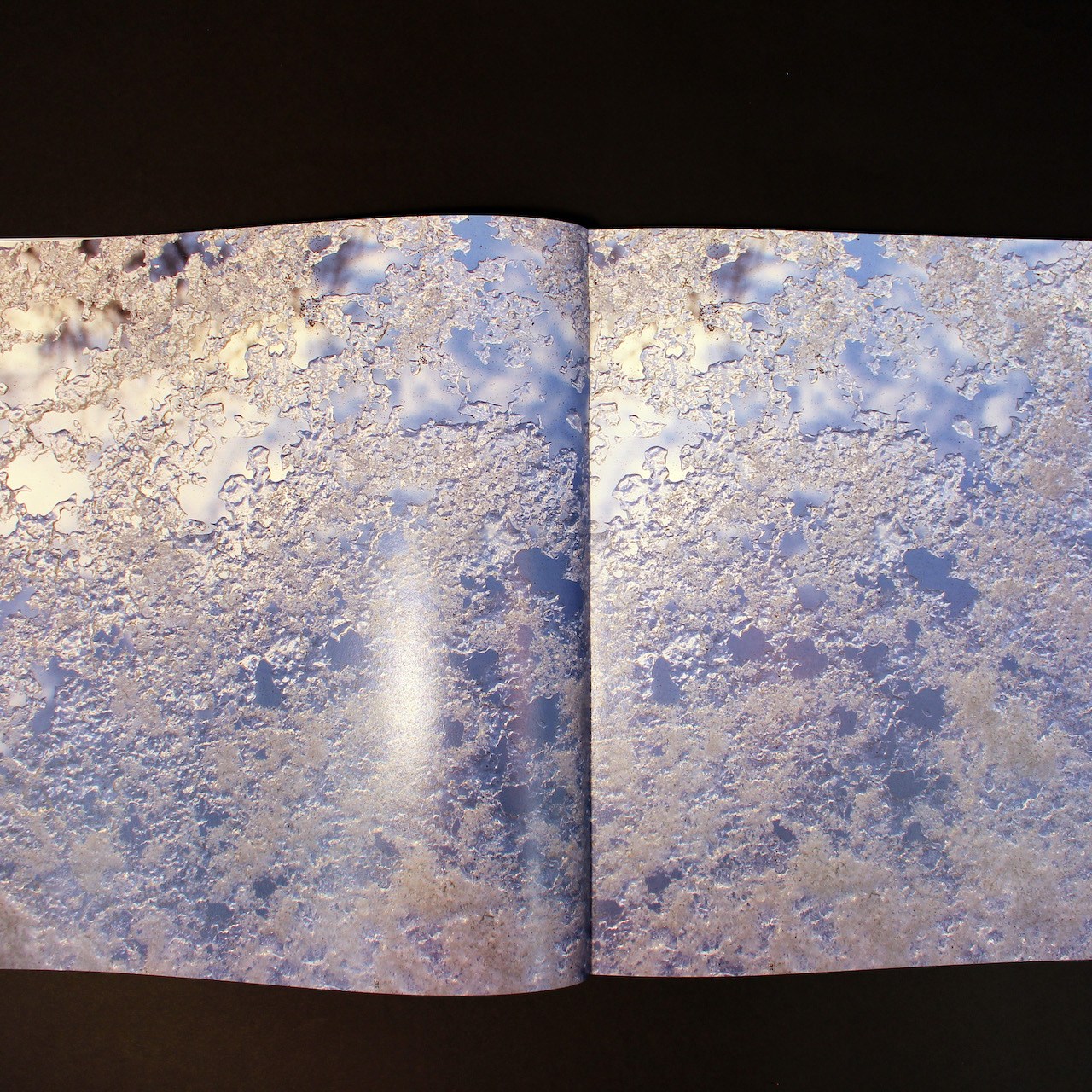 Book spread, Ice Maps / Mapping Ice by Iwona Abrams.